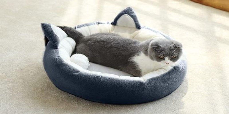 10 Best Cat Beds For Small Apartments